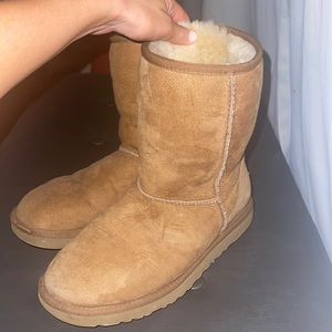 Women’s classic short Uggs